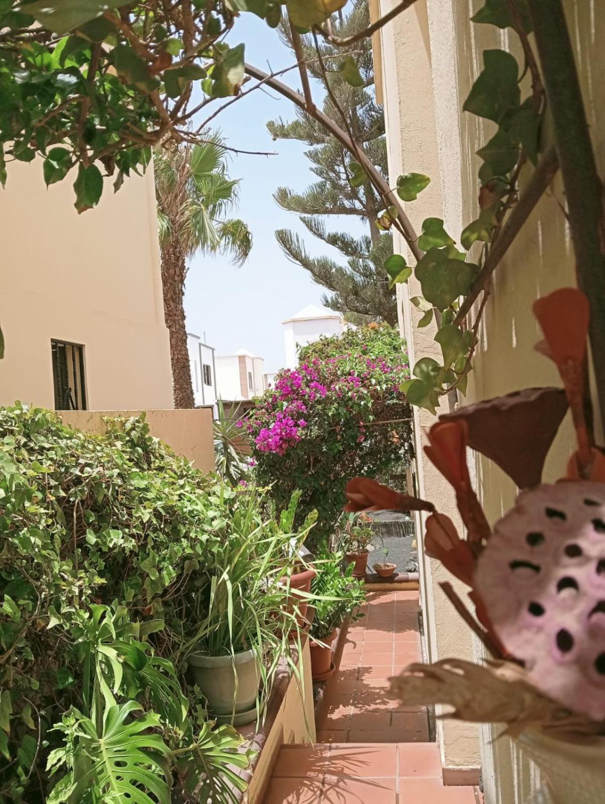Casa Noray 18 Apartment Playa Honda  Luaran gambar
